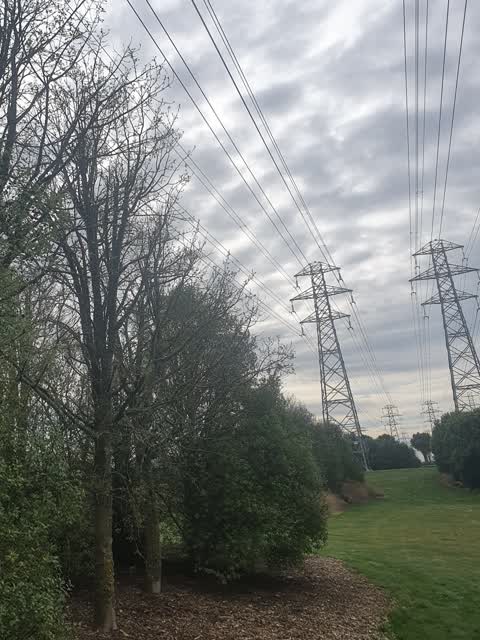Parks, a report photo