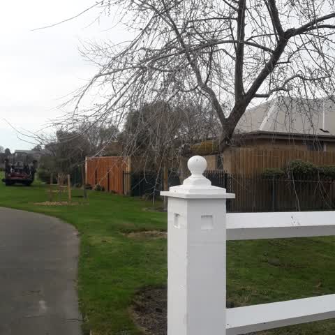 Parks, a report photo