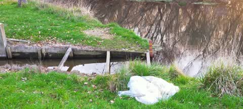 Rubbish/Recycling, a report photo