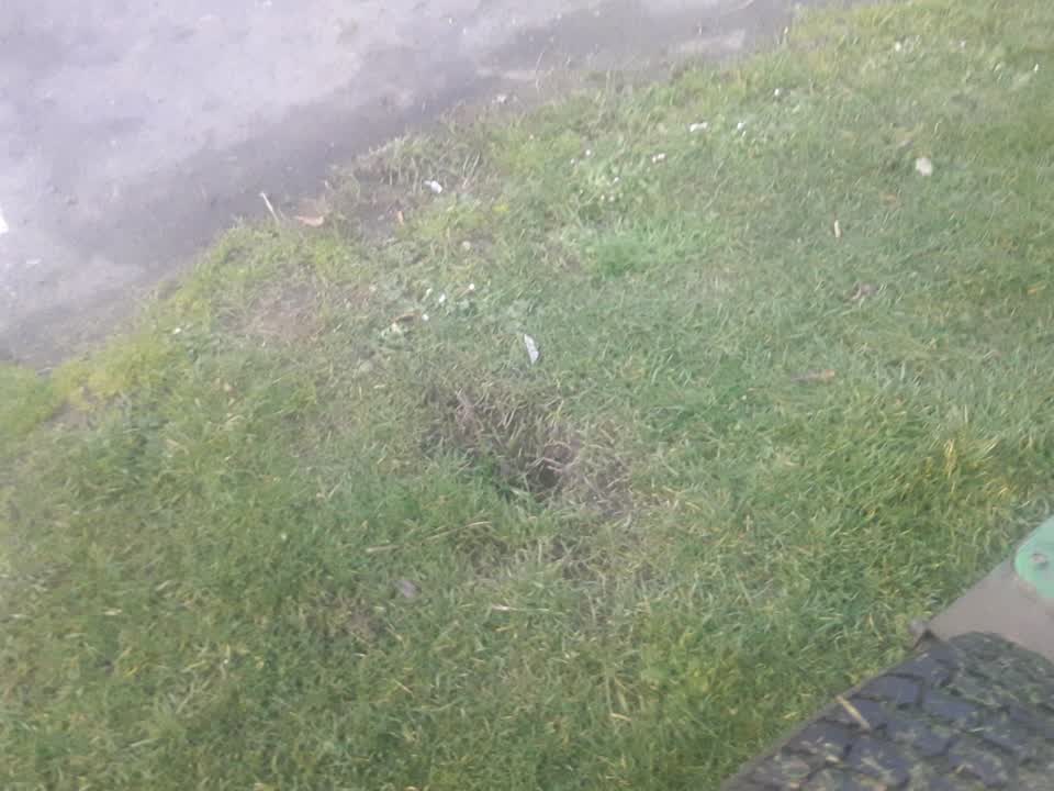 The photograph attached to this parks report
