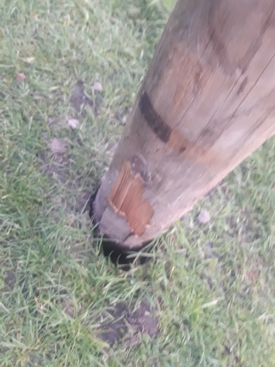 The photograph attached to this parks report