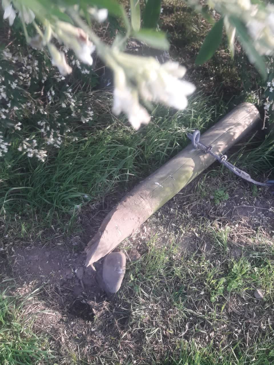 The photograph attached to this parks report