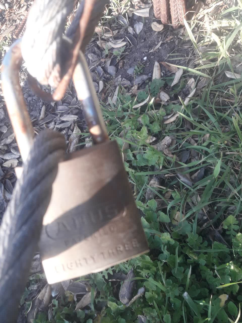 The photograph attached to this parks report