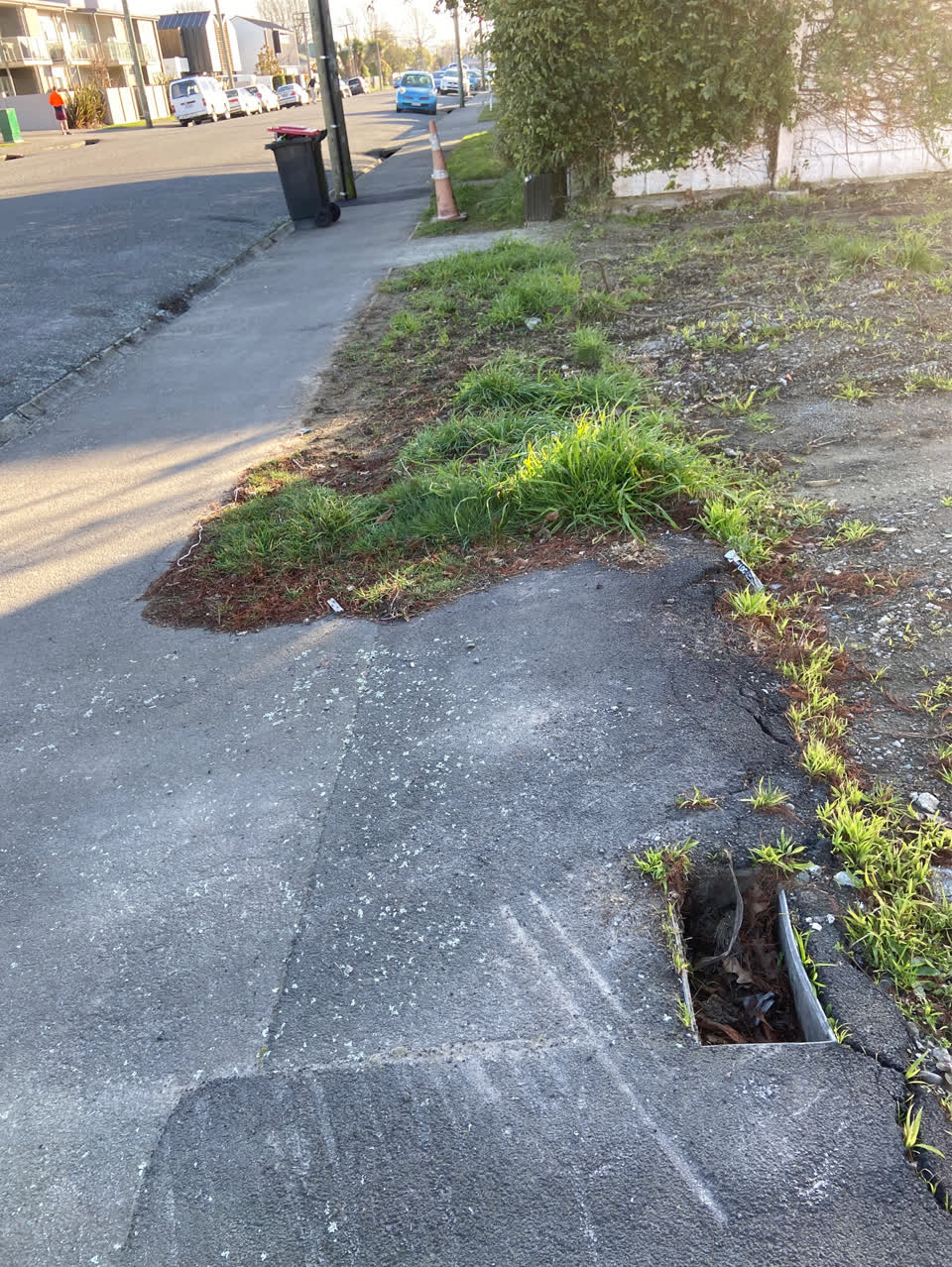 The photograph attached to this roading/streets report