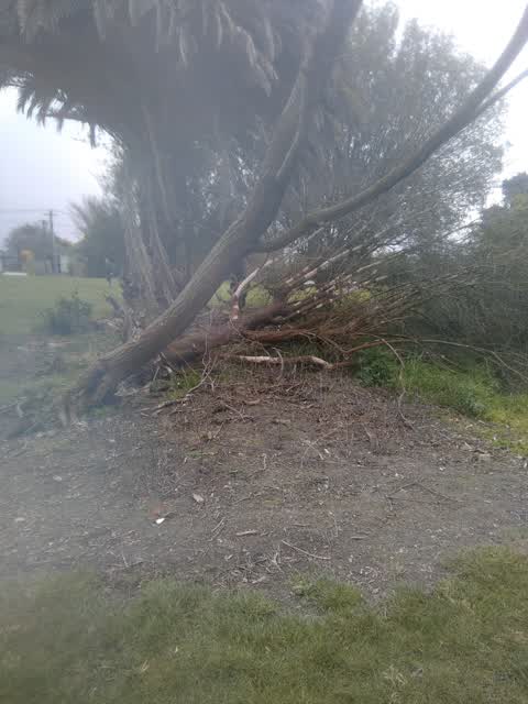 Parks, a report photo