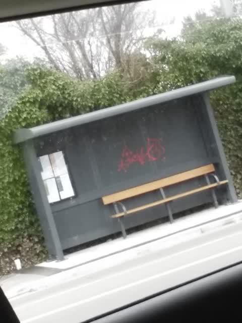 Graffiti, a report photo