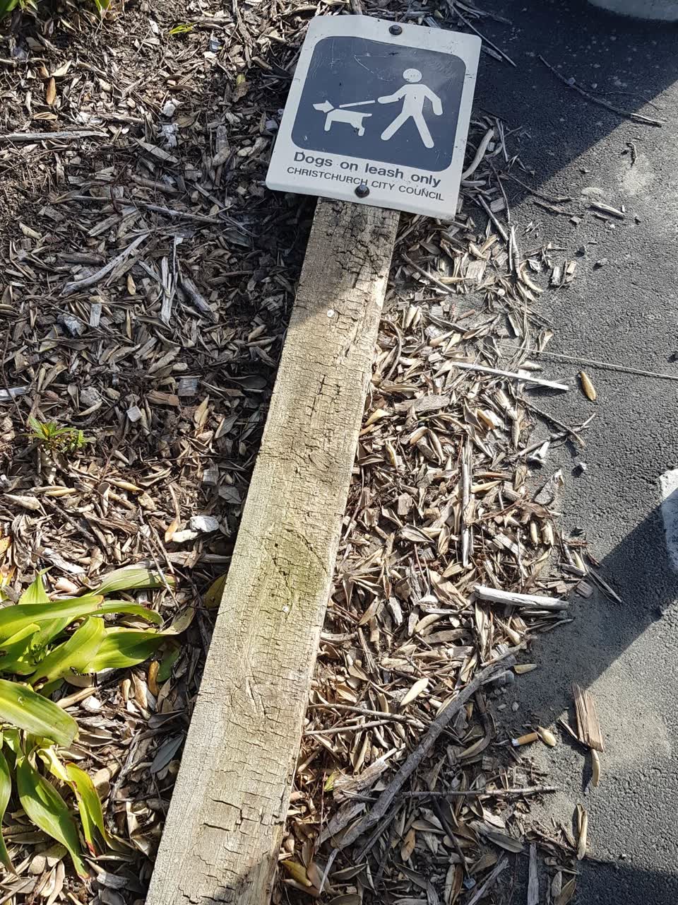 The photograph attached to this parks report