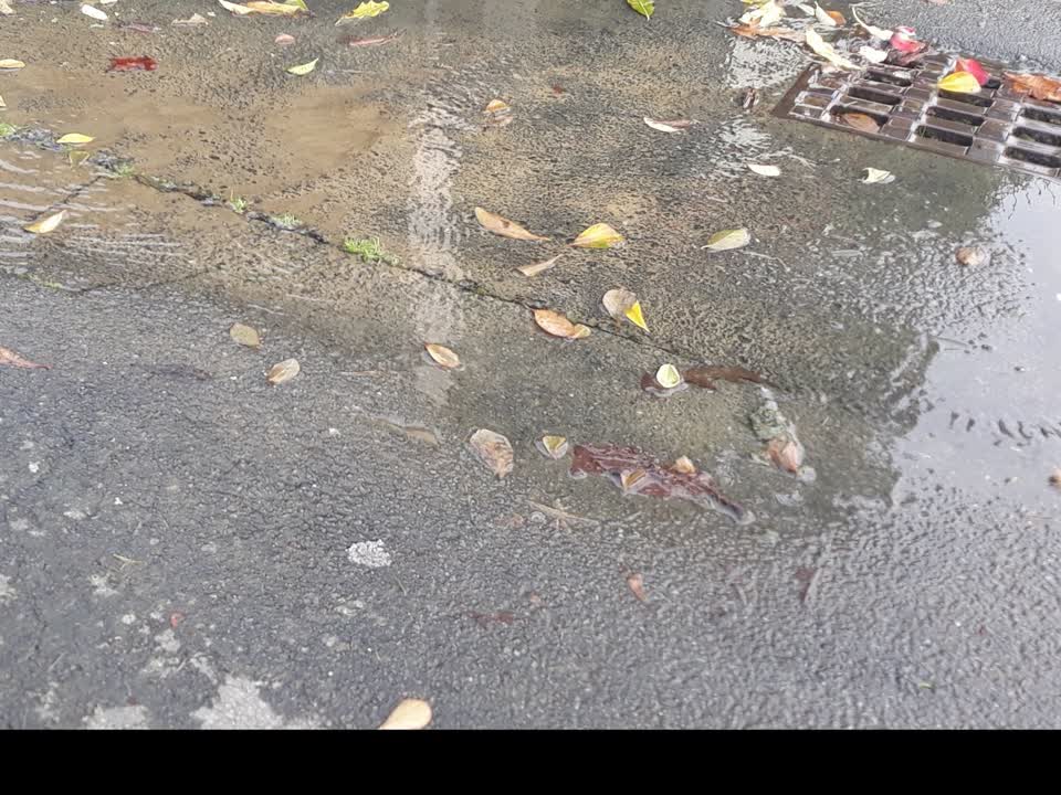 The photograph attached to this wastewater/stormwater report