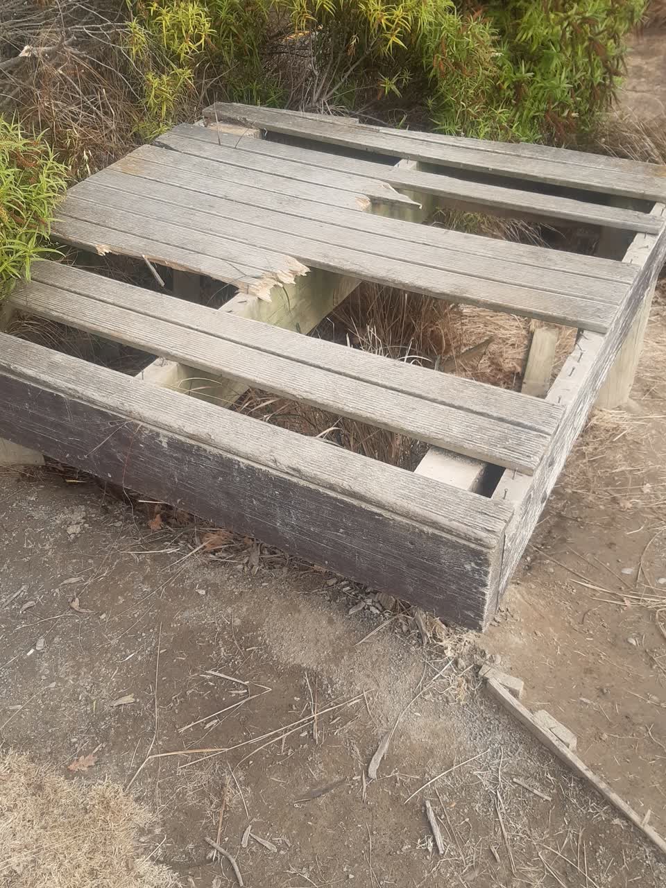The photograph attached to this parks report