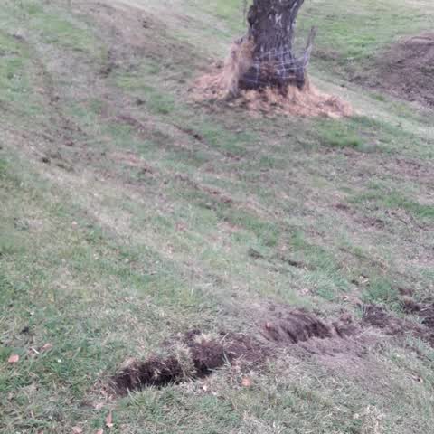 Parks, a report photo