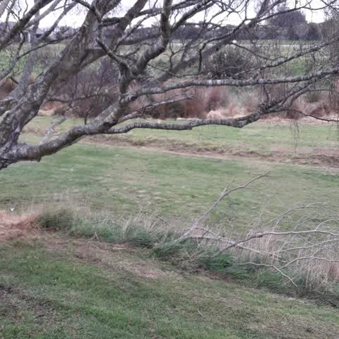 Parks, a report photo