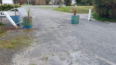 Roading/Streets — a report photo