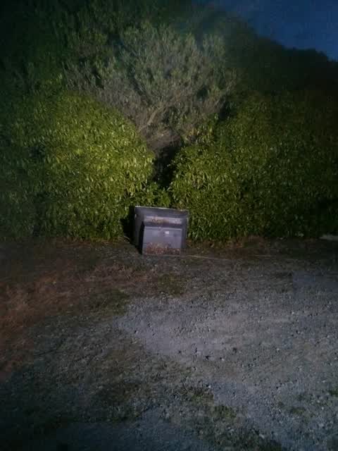 Rubbish/Recycling, a report photo