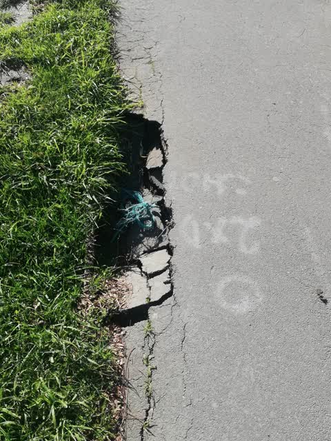Roading/Streets, a report photo