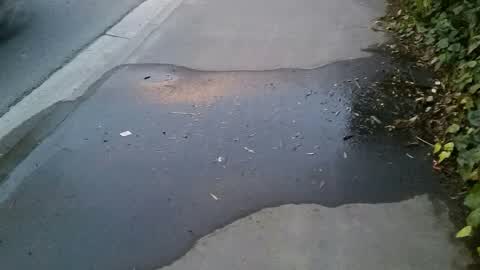 Water Supply, a report photo