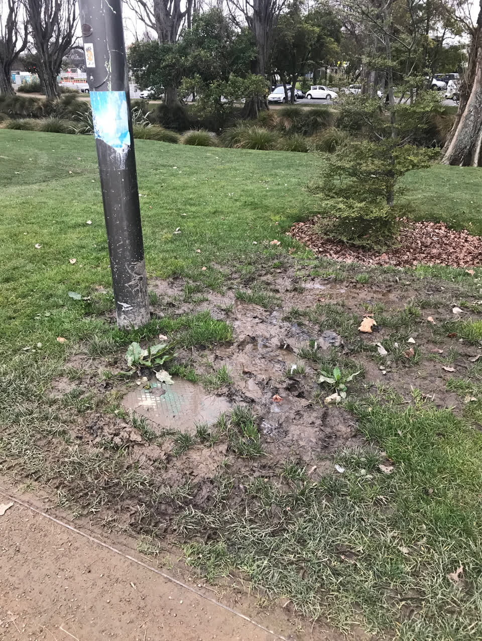 The photograph attached to this water supply report