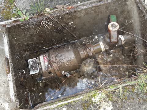 Water Supply, a report photo