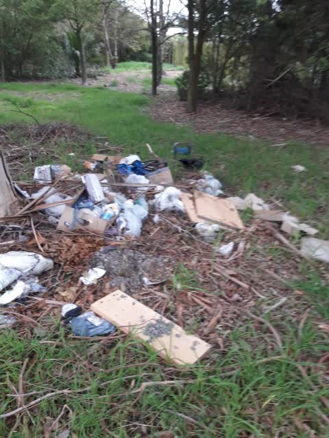 Rubbish/Recycling, a report photo