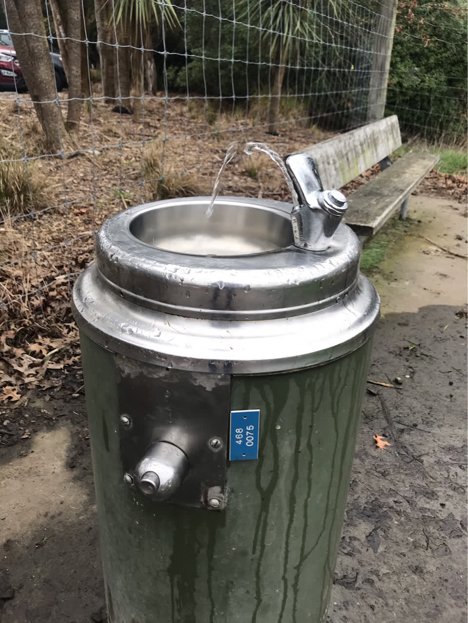 The photograph attached to this parks report