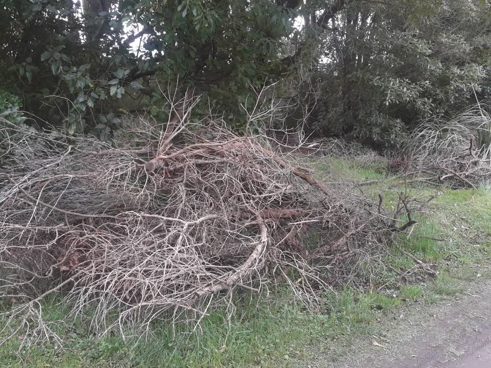 The photograph attached to this parks report