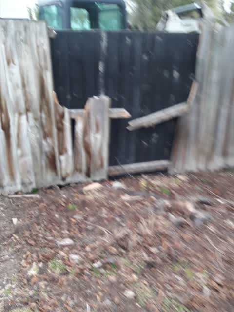 Parks, a report photo