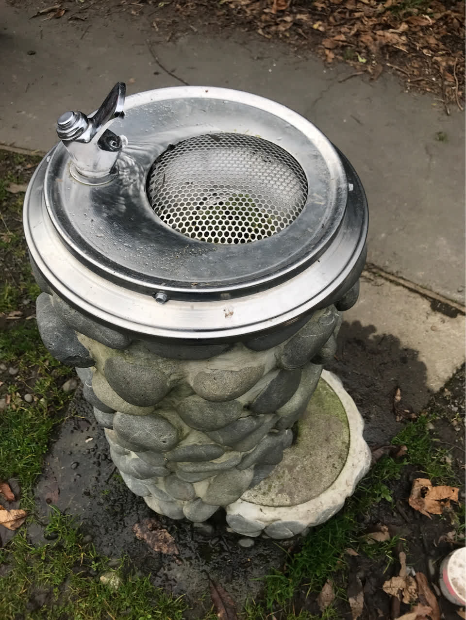 The photograph attached to this parks report