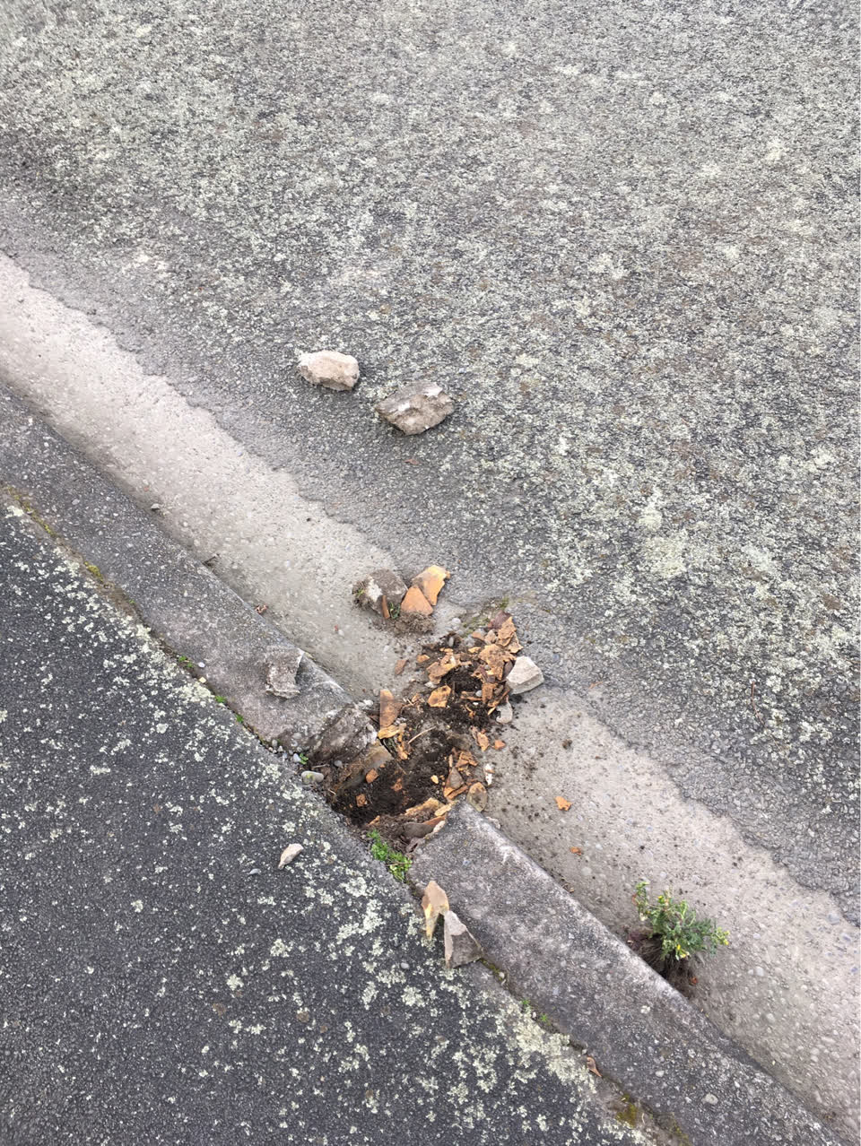 The photograph attached to this wastewater/stormwater report