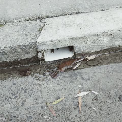 Wastewater/Stormwater, a report photo