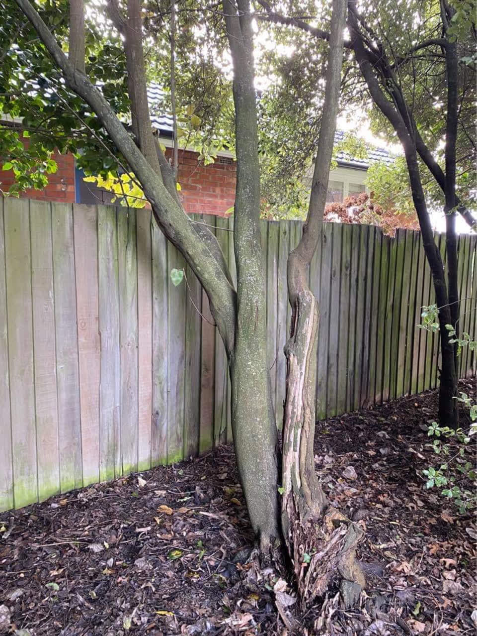 The photograph attached to this parks report