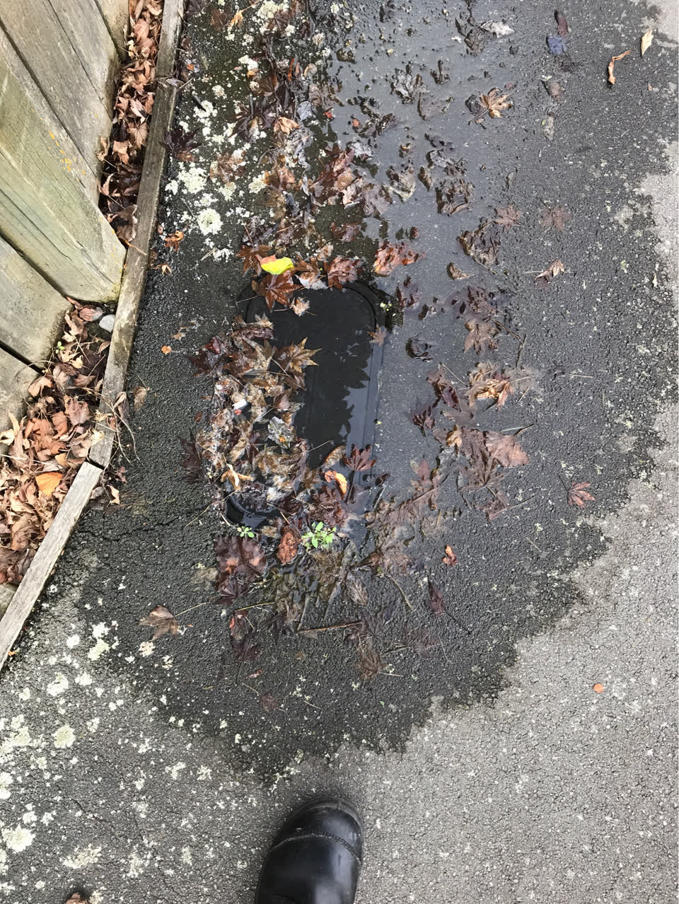 The photograph attached to this water supply report
