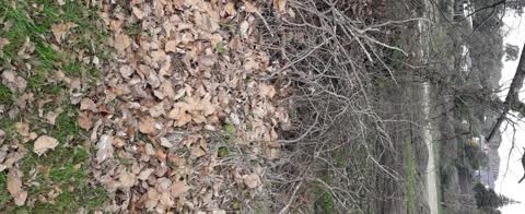 Parks, a report photo