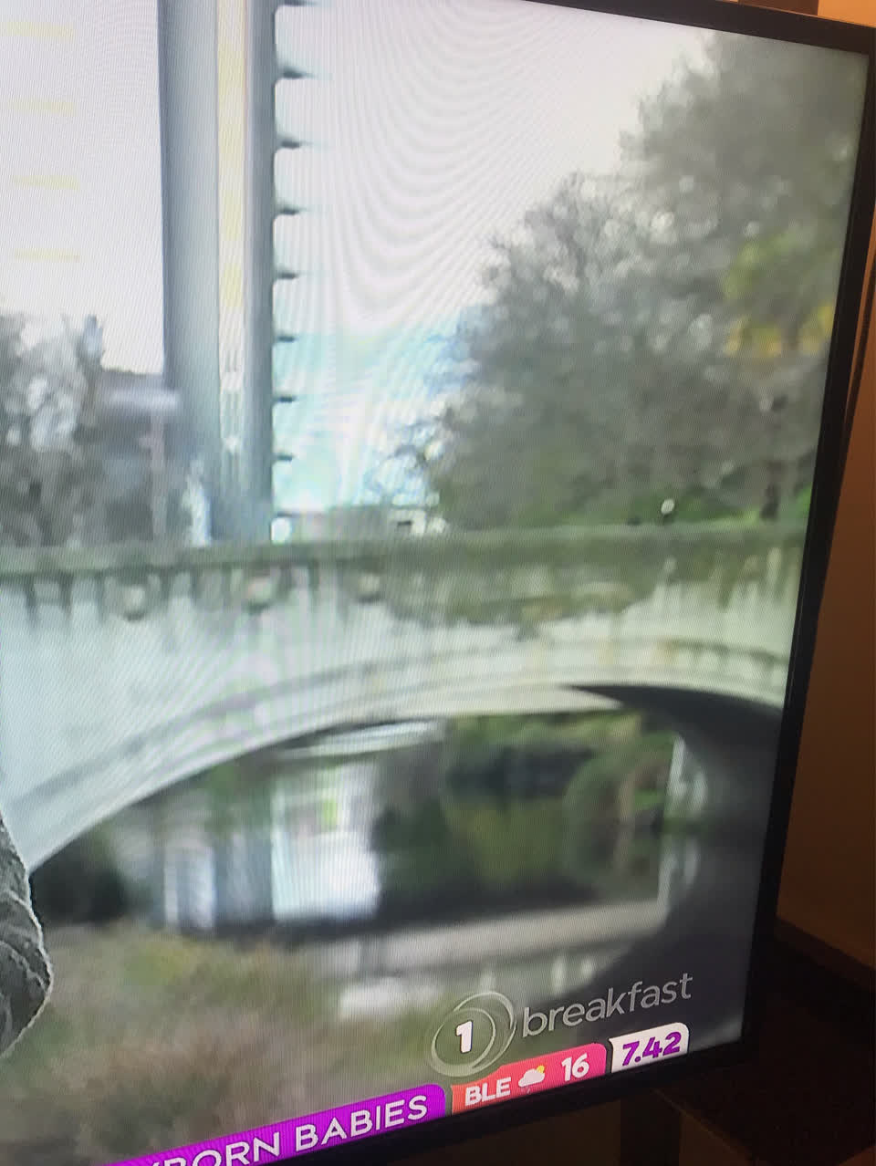 The photograph attached to this parks report