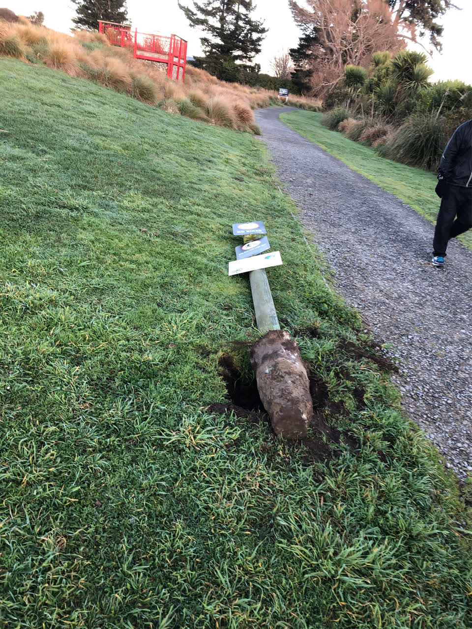 The photograph attached to this parks report