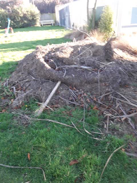 Rubbish/Recycling, a report photo
