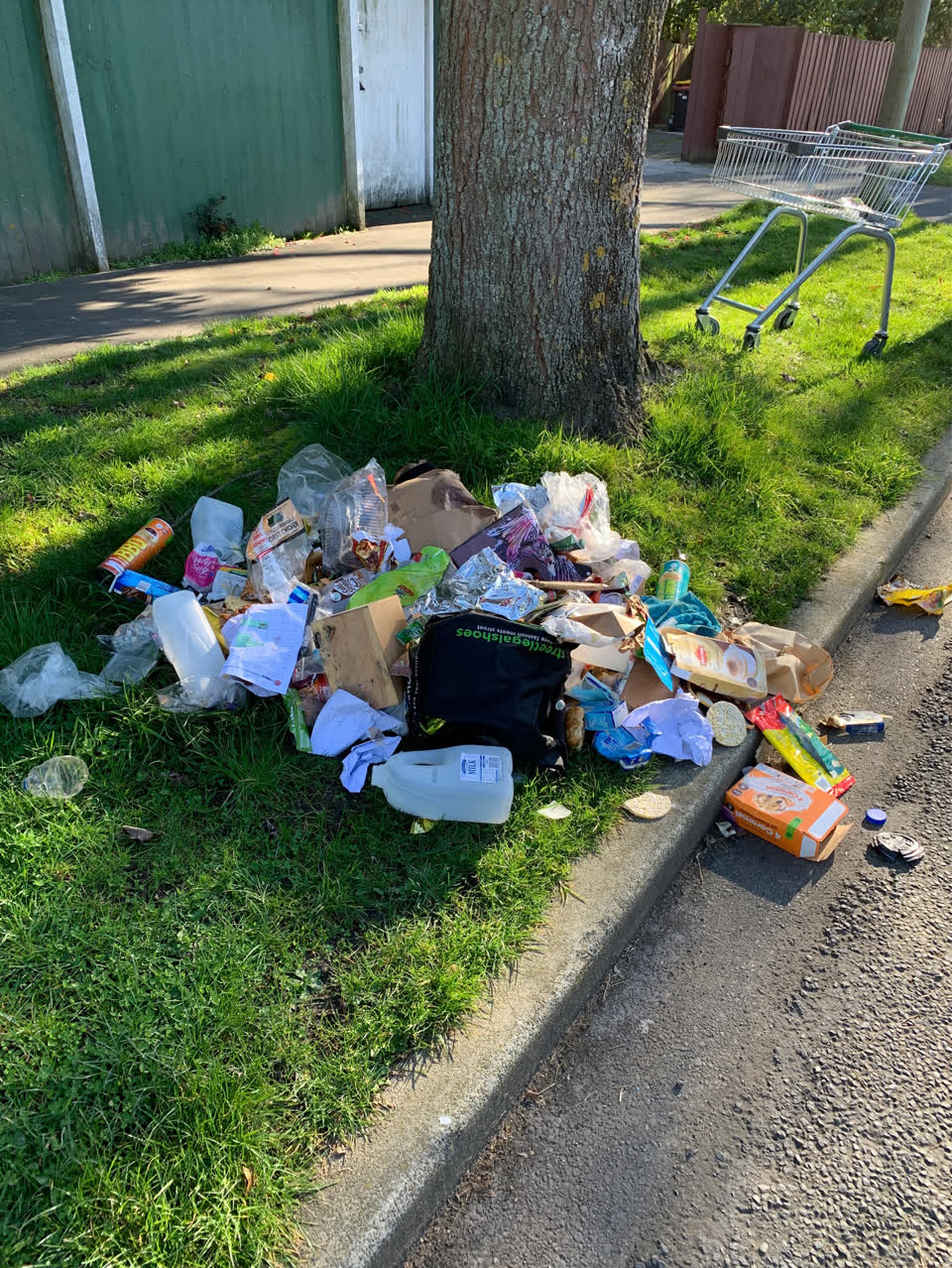 The photograph attached to this rubbish/recycling report