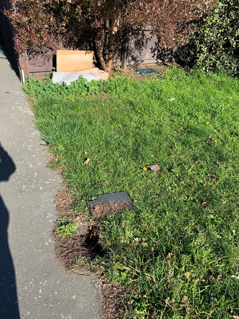 The photograph attached to this rubbish/recycling report