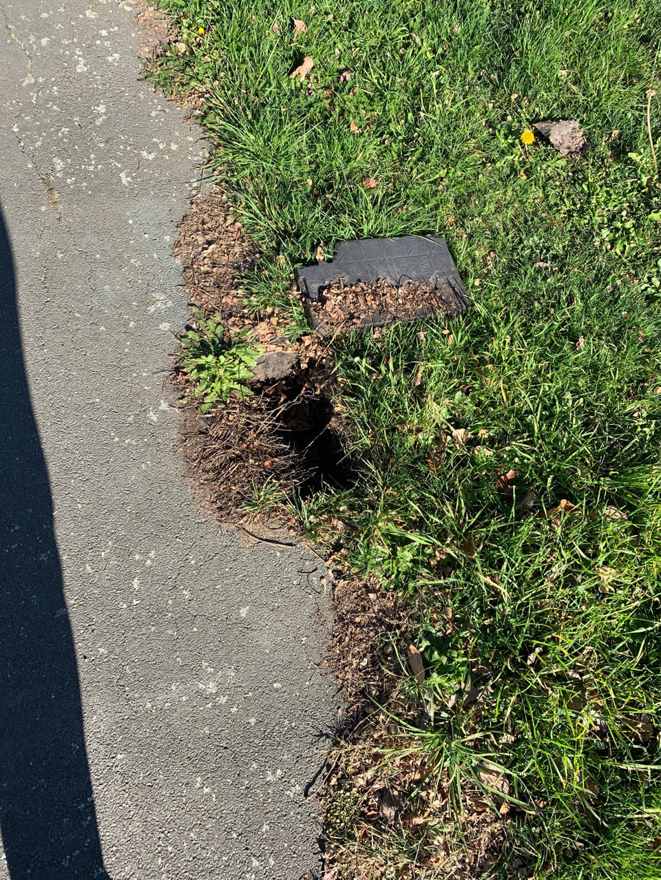 The photograph attached to this water supply report