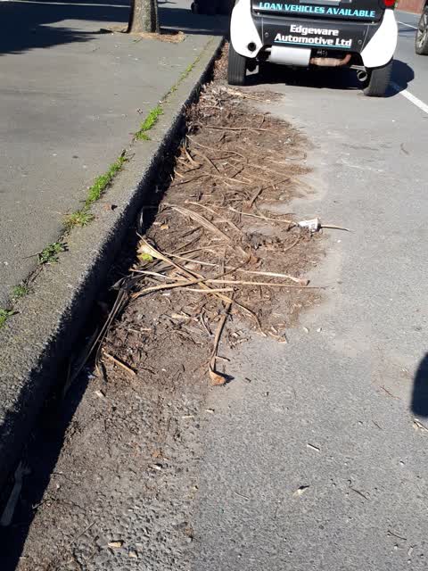 Roading/Streets, a report photo