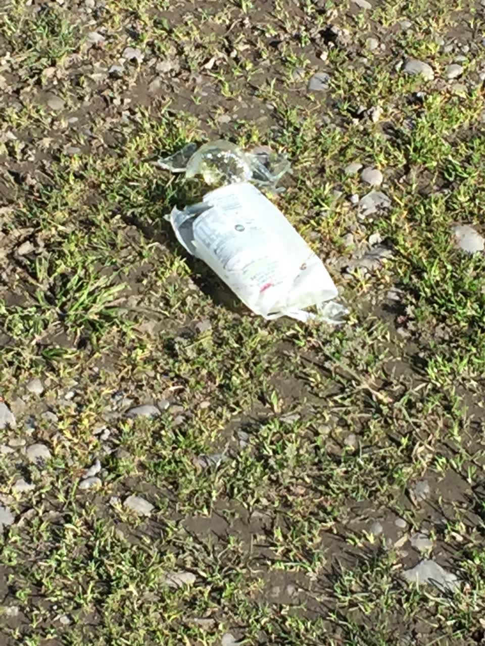 The photograph attached to this parks report