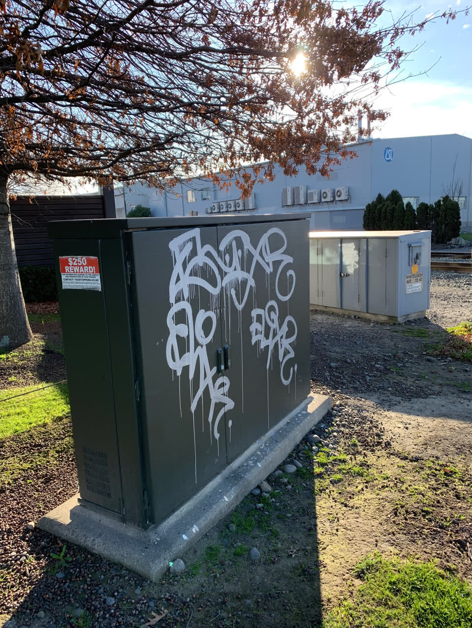 The photograph attached to this graffiti report