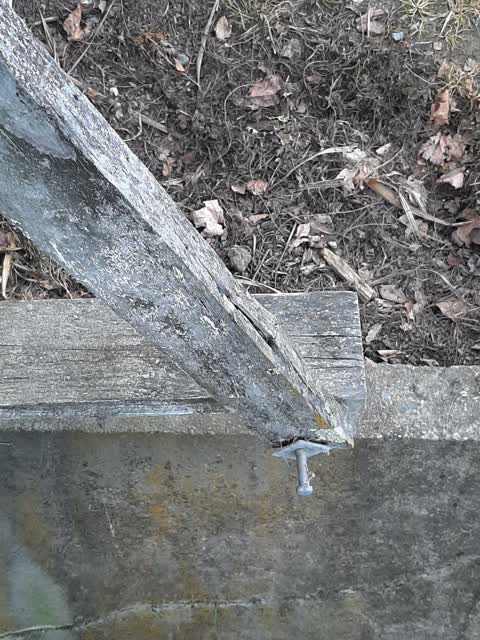 Parks, a report photo
