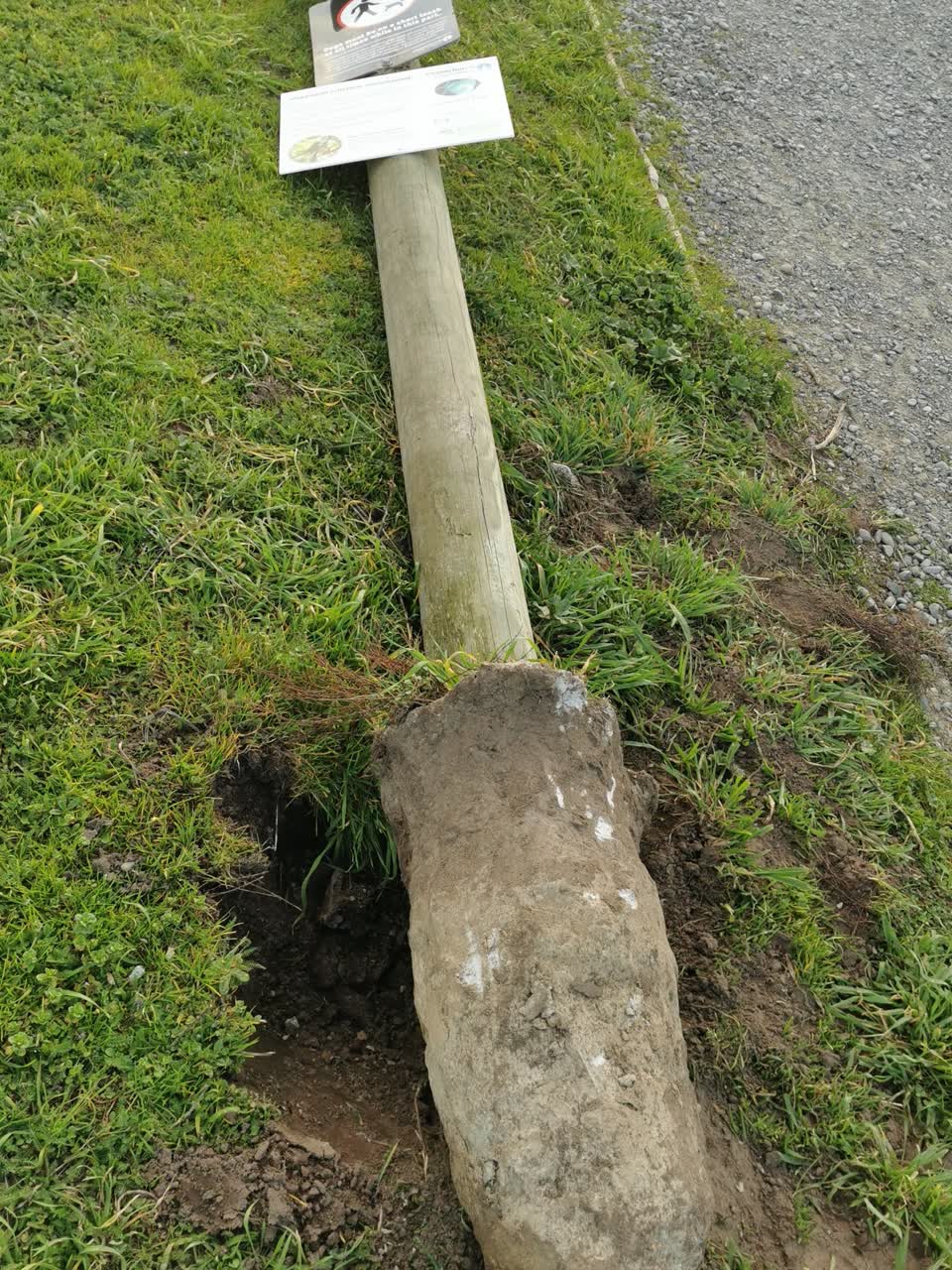 The photograph attached to this parks report