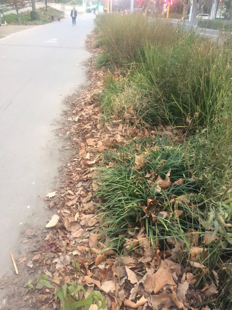 The photograph attached to this parks report