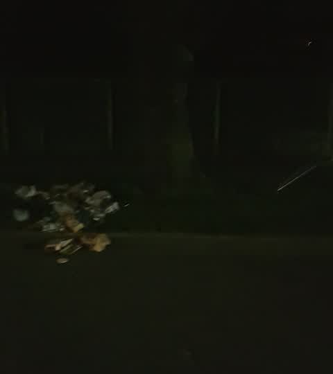 Rubbish/Recycling, a report photo