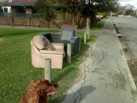 Parks, a report photo