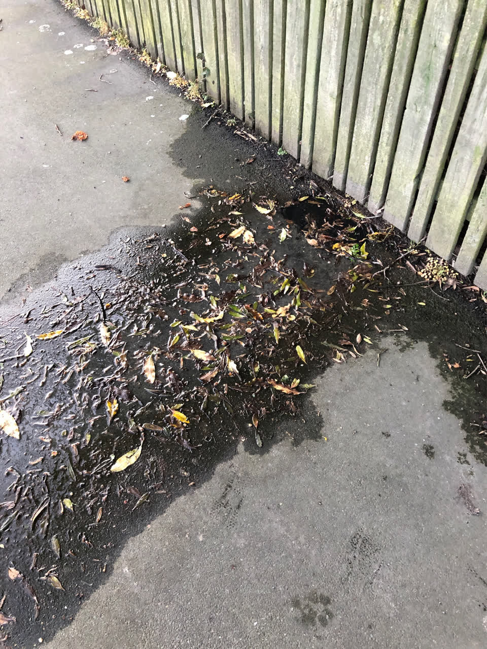 The photograph attached to this water supply report