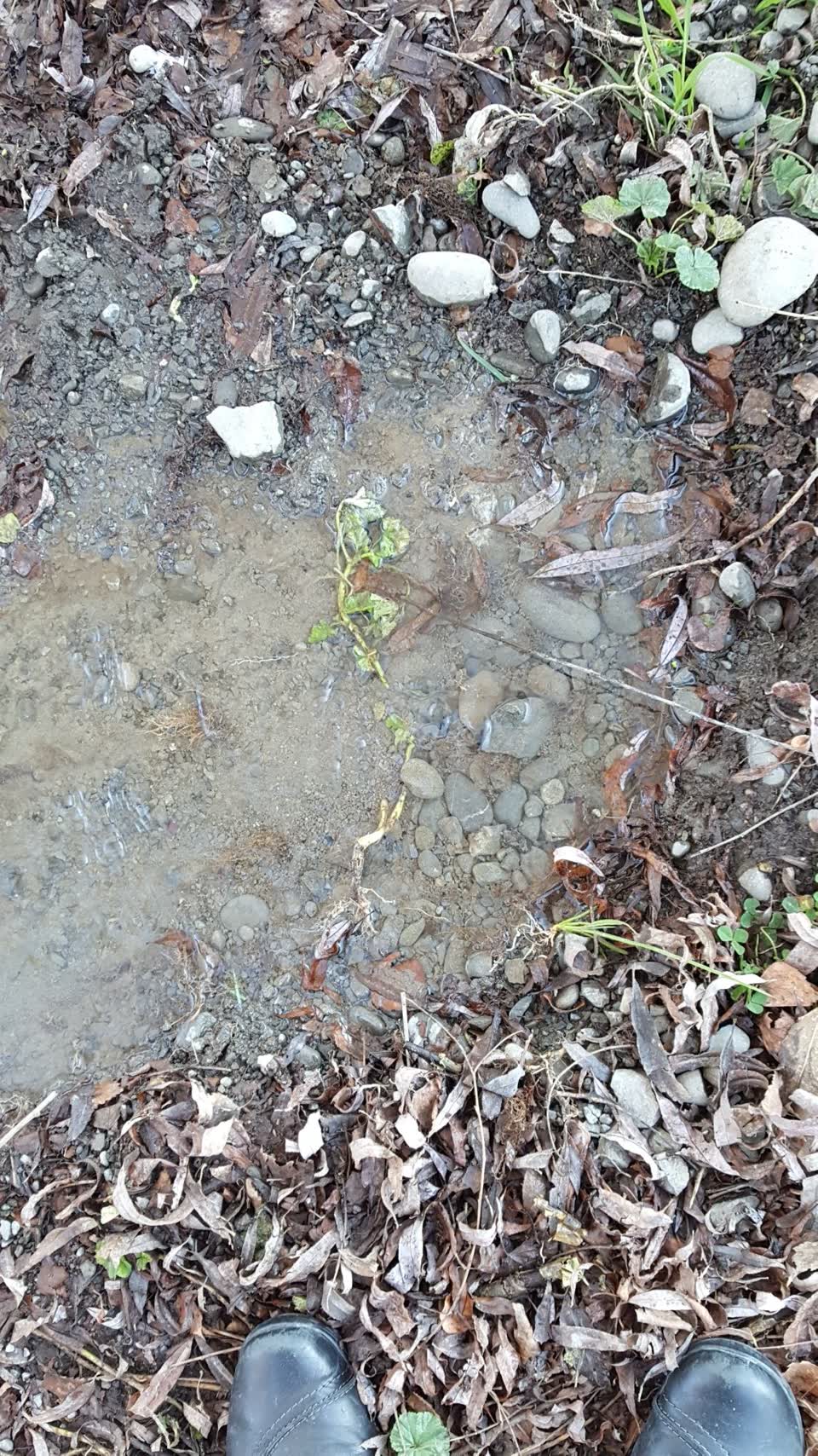 The photograph attached to this water supply report