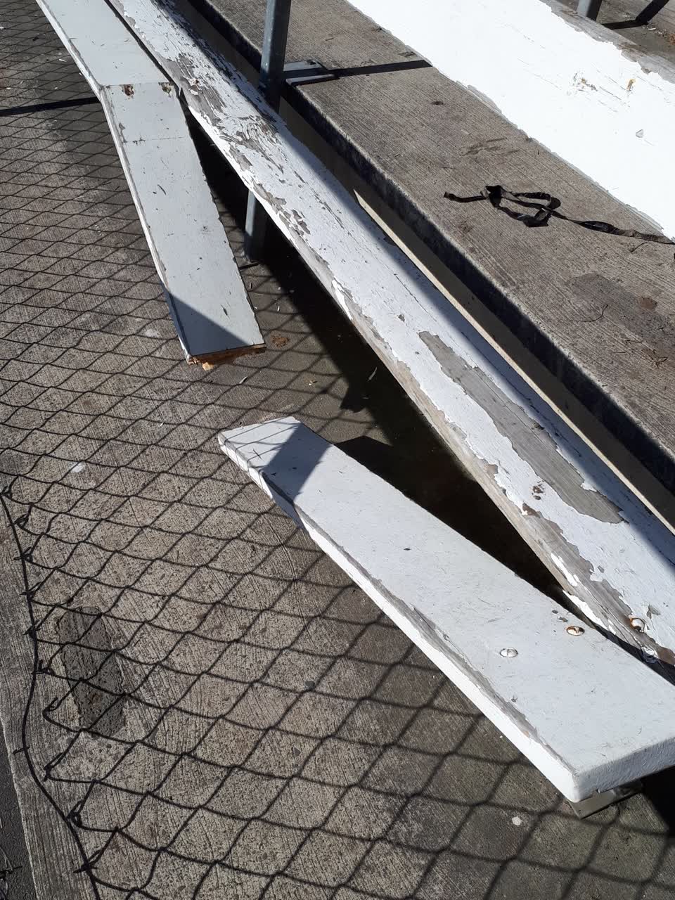 The photograph attached to this parks report