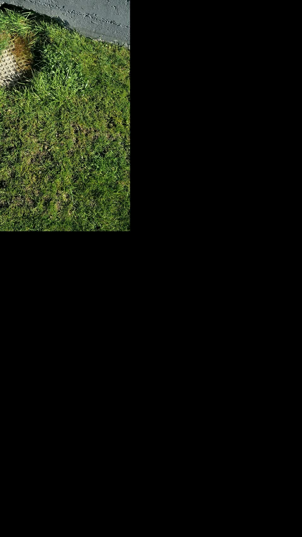 The photograph attached to this water supply report