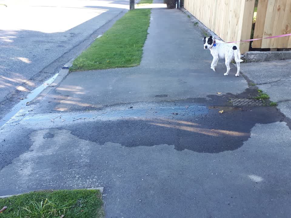 The photograph attached to this water supply report